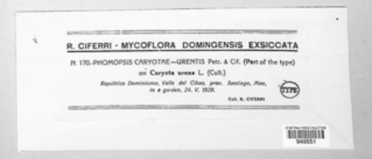 Phomopsis caryotae-urentis image